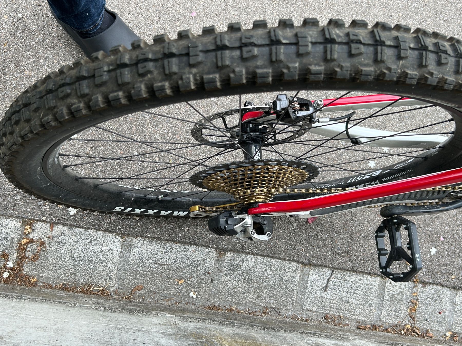 Canyon Biciclette: Canyon Strive 29'', CF 9.0 Custom, Tuning, Top Zustand! – Usato da Mauren TG venduto da webschen 3