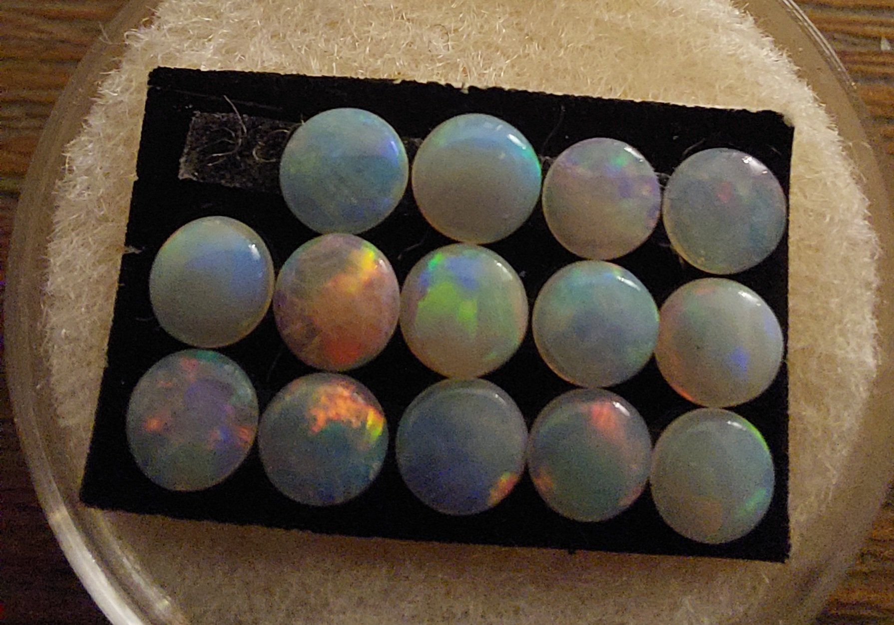 Pietre preziose: 14 Opalcabochons 4mm rund – Nuovo (secondo la descrizione) da Klingnau venduto da Tamina5 1