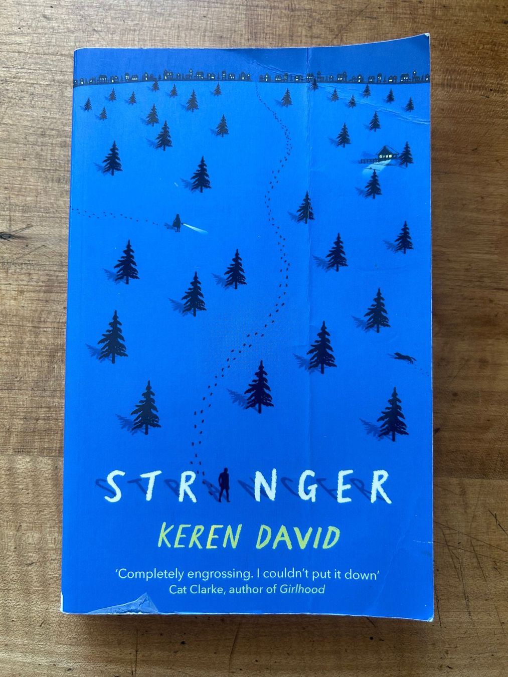 Bücher: Stranger by Keren David – Gebraucht aus Rickenbach Sulz von sinbin