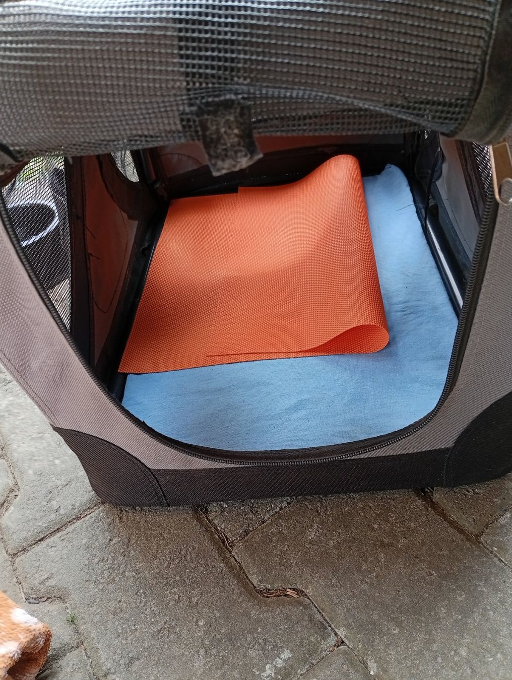 Swisspet Gabbie, trasporto & Sicurezza: FERIEN  Hundebox + alles drumherum ab 29.--Fr – Usato da Killwangen venduto da Freds7 2