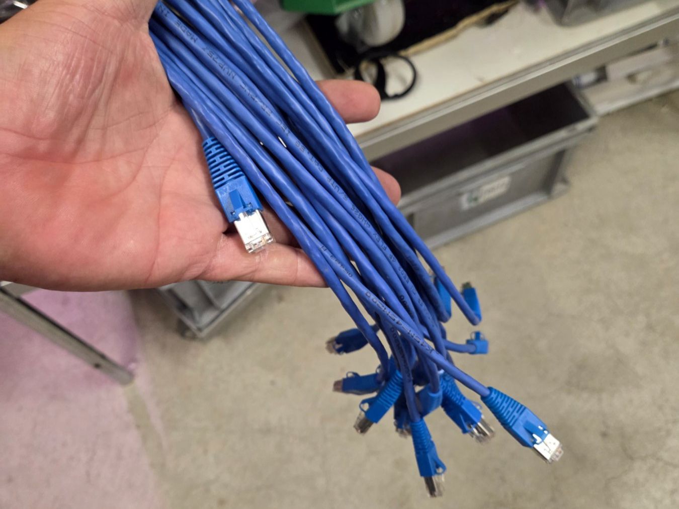 Dätwyler Kabel: Netzwerkkabel Patchkabel Cat5 kat5 Rj45 UKV 2m uninet 5502 – Gebraucht aus Zürich von Alibaba1234 3