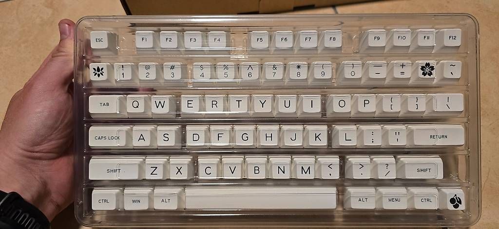 Tastiere: KBDFans Keykaps (ungenutzt) – Nuovo (secondo la descrizione) da Muttenz venduto da SpionRex 1
