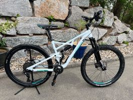 Damen Mountainbike Wheeler Fully