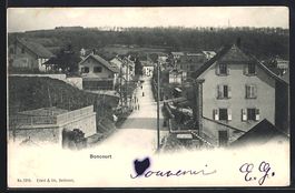 Boncourt, Strassenpartie aus der Vogelsc