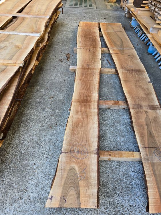 Articoli in legno: Nussbaumbrett Nr.40 – Nuovo (secondo la descrizione) da Lützelflüh-Goldb venduto da Waelchris