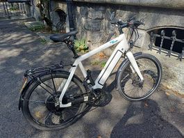 Stromer ST1 Pedelec  Treuer Begleiter