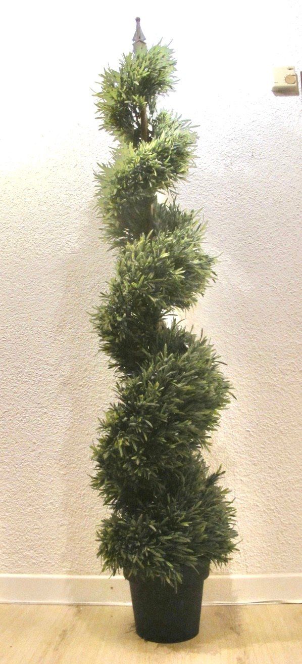 Piante & sementi: Kunstbaum Zeder Holz Formschnitt Baum spiralförmig – Usato da Wil ZH venduto da Arbolero