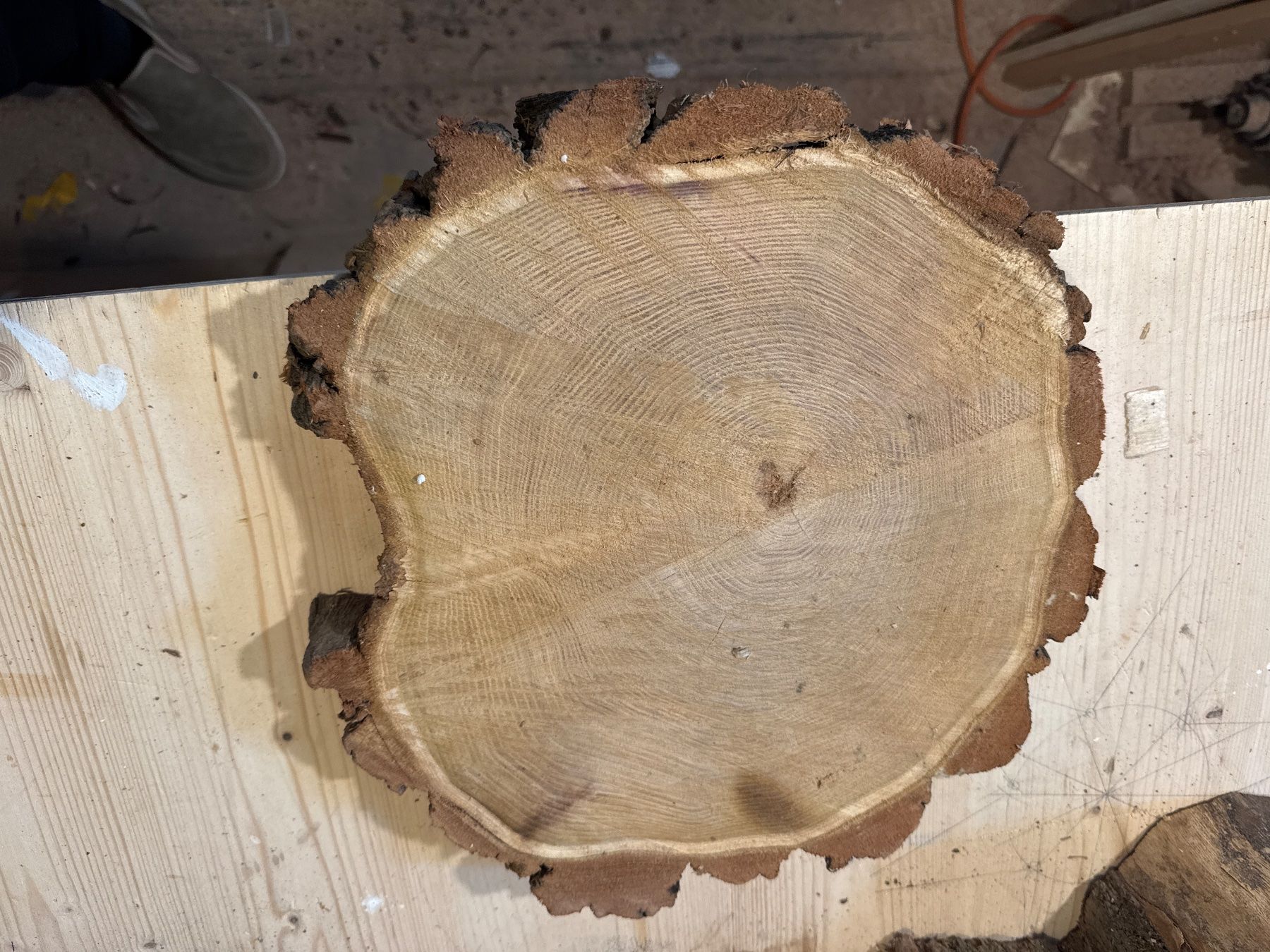 Articles en bois: Rustikale Baumscheibe , Unikate Stücke – D'occasion à Brunnen par Holz-style 3