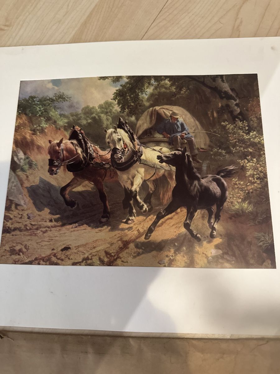 Poster & Bilder: Kunstdrucke Koller, Schmidt, diverse Motive – Gebraucht aus Frümsen von Katzen0 1