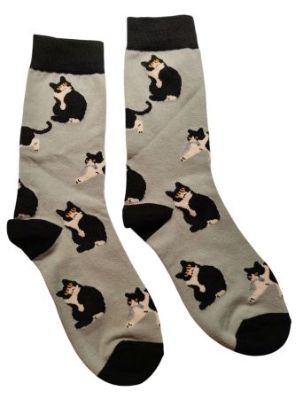 Socken Katzen / Cats