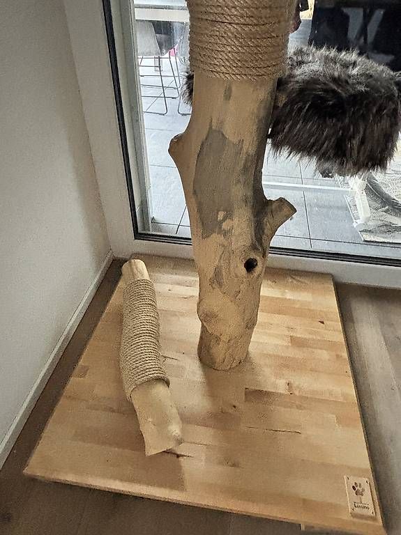 Tiragraffi: Schöner Natur Kratzbaum – Usato da Inwil venduto da Seli_Schnellfuss 2
