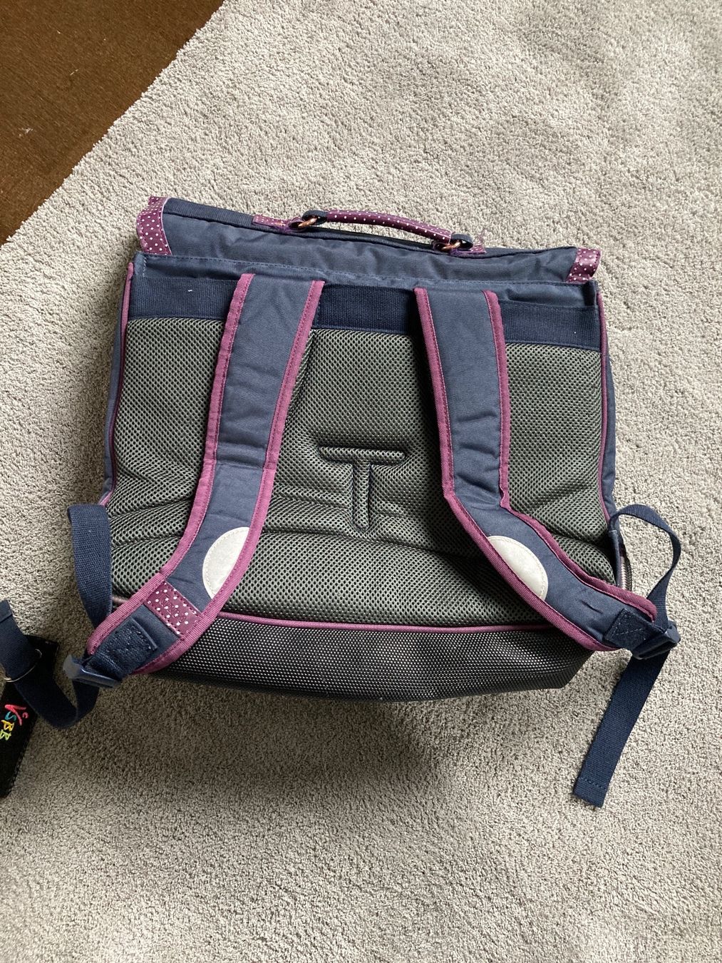 Borse & Zaini: Schulerthek Step by Step, ergonomisch, top! – Usato da Berg TG venduto da godowsky2000 2