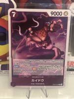 Kaido One Piece