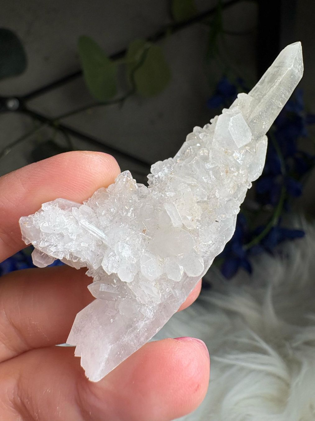 Minerali & Pietre curative: Kolumbianischer Lemurian-Quarz-Cluster – Nuovo (secondo la descrizione) da Neuheim venduto da m.hald 5