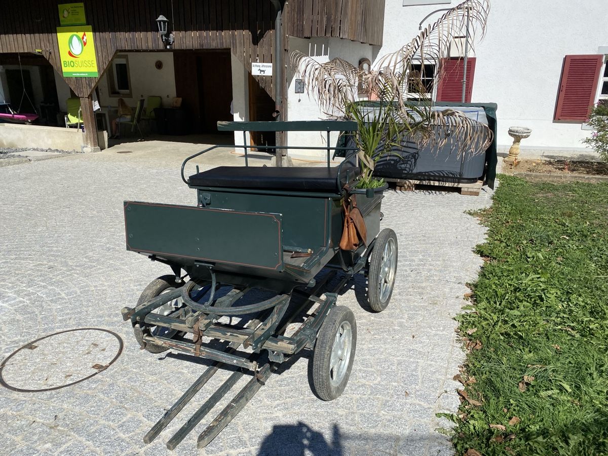 Carrozze: Pferde / Pony Kutsche Schnäppchen Scheunenfund mit Bremse !! – Usato da Tecknau venduto da Garage_St.Buser 4