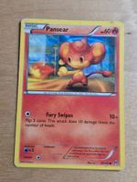 PANSEAR 23/162 VINTAGE 2015 XY BREAK THROUGH ENGLISH