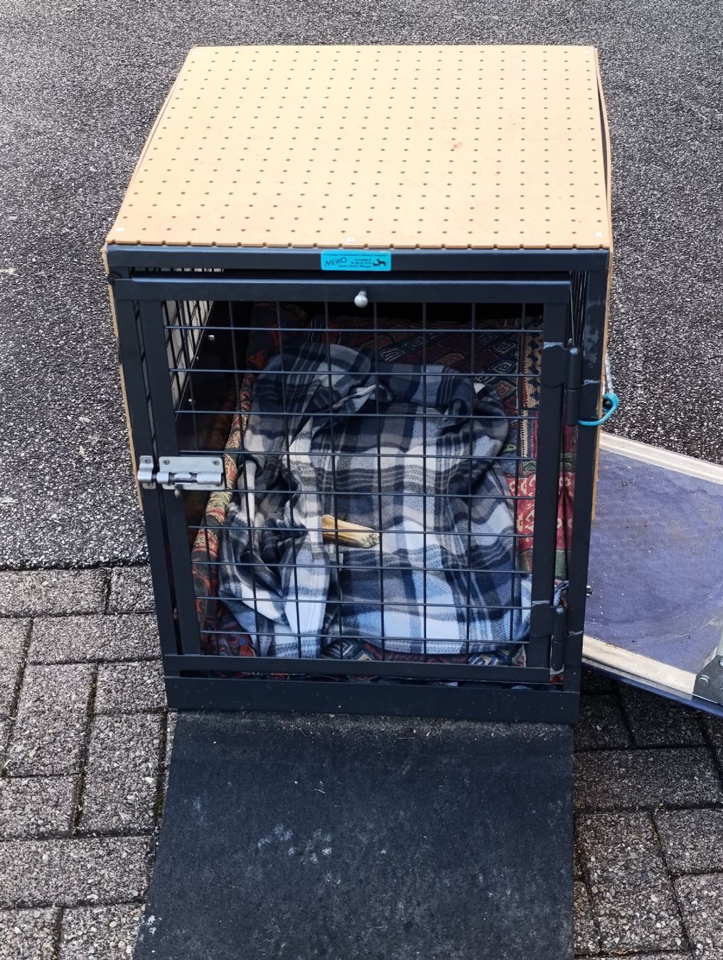 Meiko Gabbie, trasporto & Sicurezza: Hunde Transportbox, Top Zustand. – Usato da Wangen b. Olten venduto da Pietrocap 2