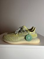 Yeezy Boost 350 Antlia