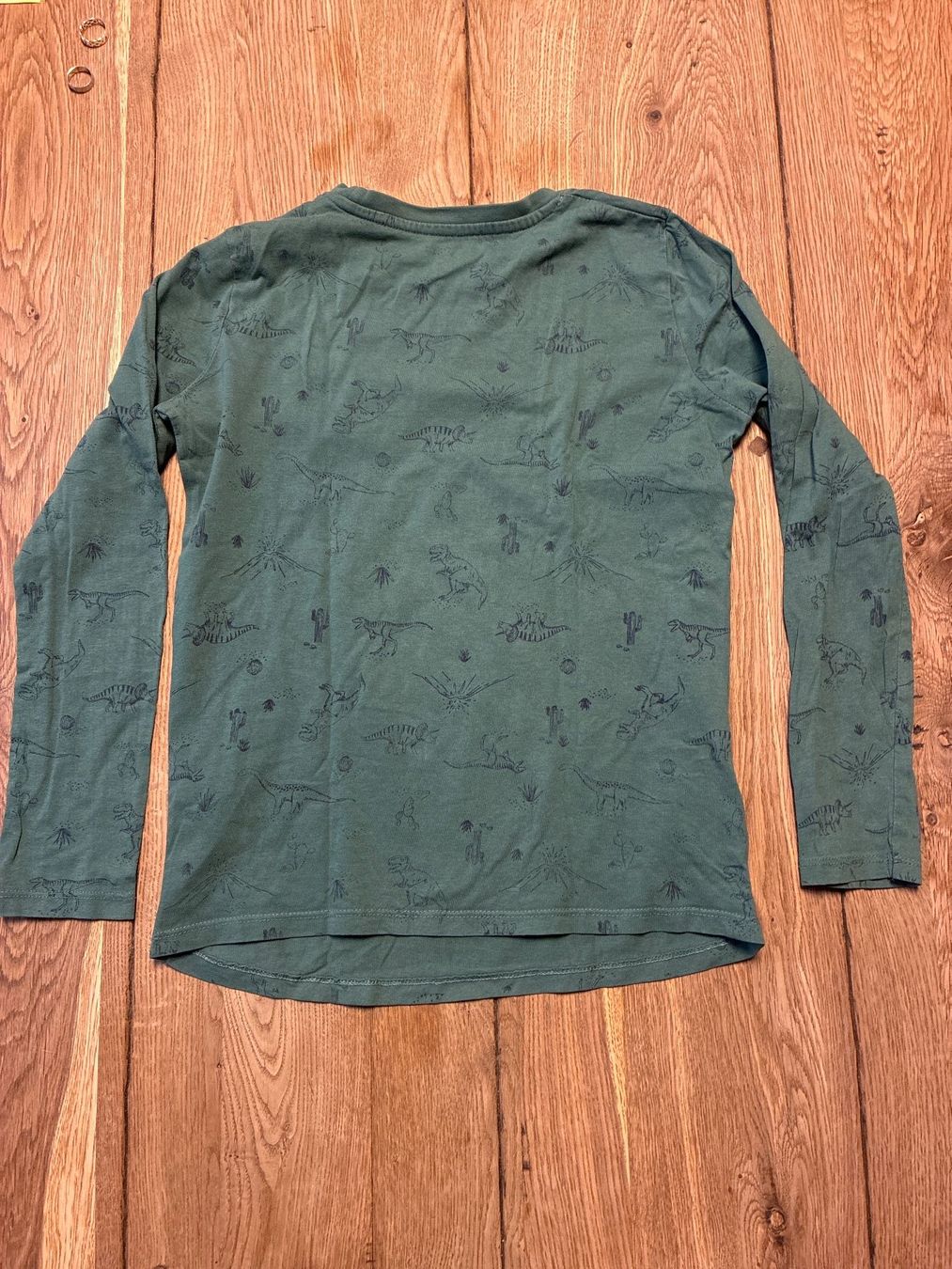 Pullover & Sweatshirts: Kinder Pullover Langarm Grösse 10 A Dinoprint grün – Gebraucht aus Guntershausen von Gloominati 3