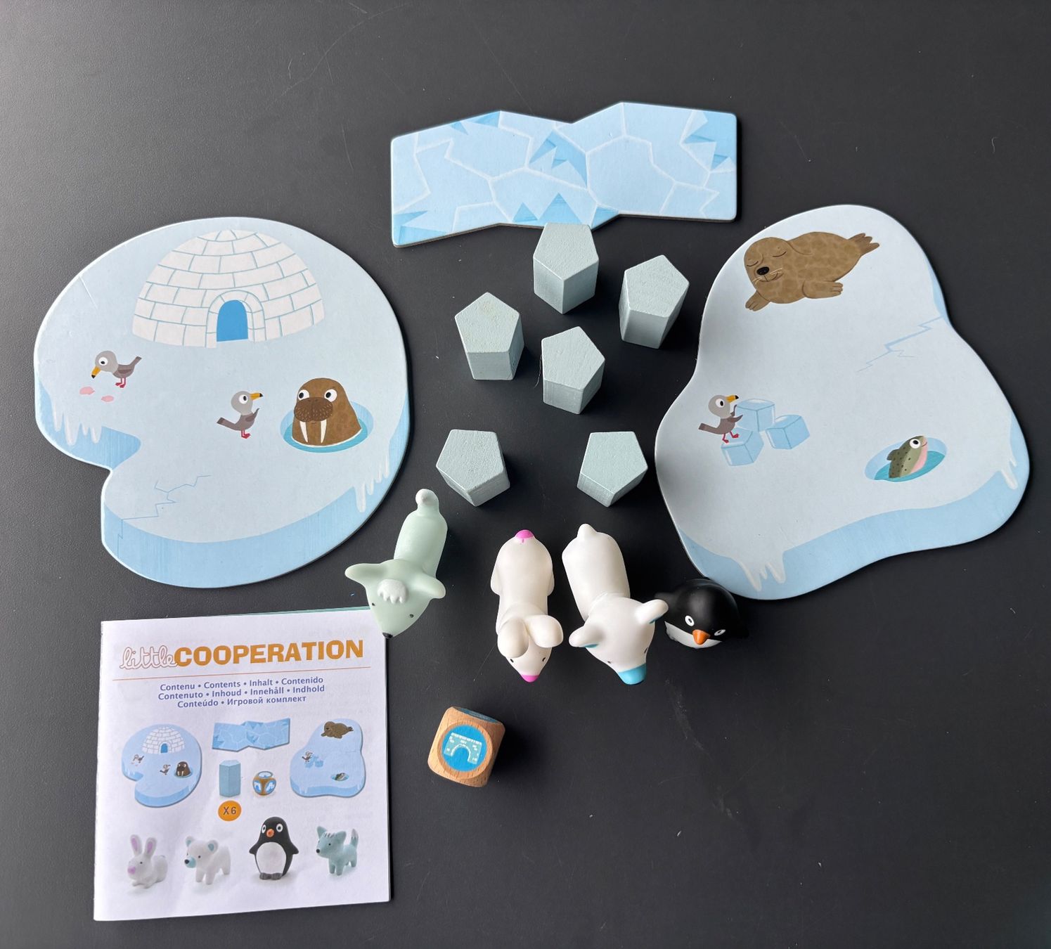 Djeco Giochi: Little Cooperation by Djeco – Usato da Brugg AG venduto da tsannen 1