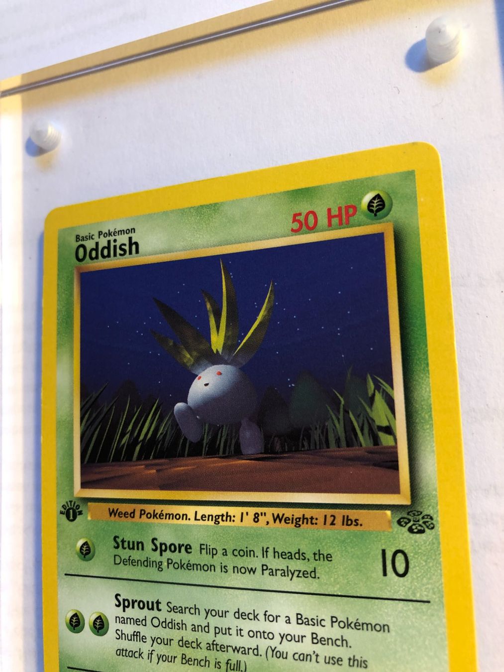 Sammelbilder & Trading cards: Oddish 1st Jungle - LP/NM - ab 1.- – Gebraucht aus Giubiasco von dan_pr8b 3