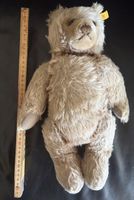 Älterer Steiff Teddy 