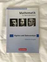 Mathematik Algebra und Datenanalyse