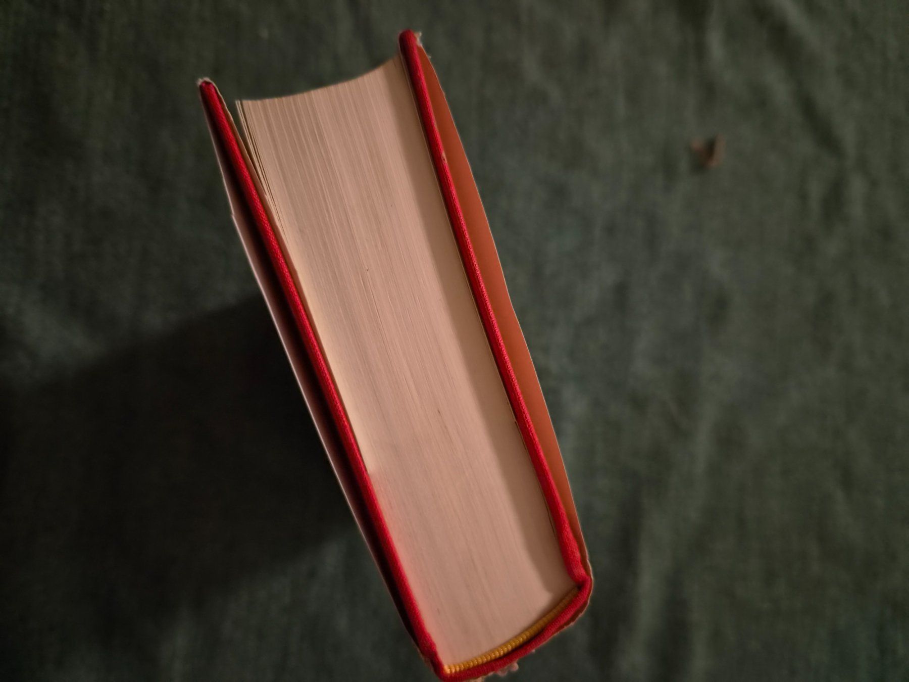 Libri: Buch, Wildes Blut – Usato da Regensdorf venduto da Mischa88 6