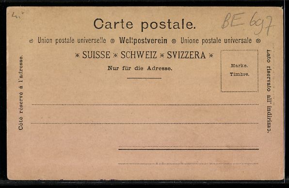 Cartoline postali: AK Meiringen, Hotel du Sauvage – Usato da Berlin venduto da bartko-reher 1