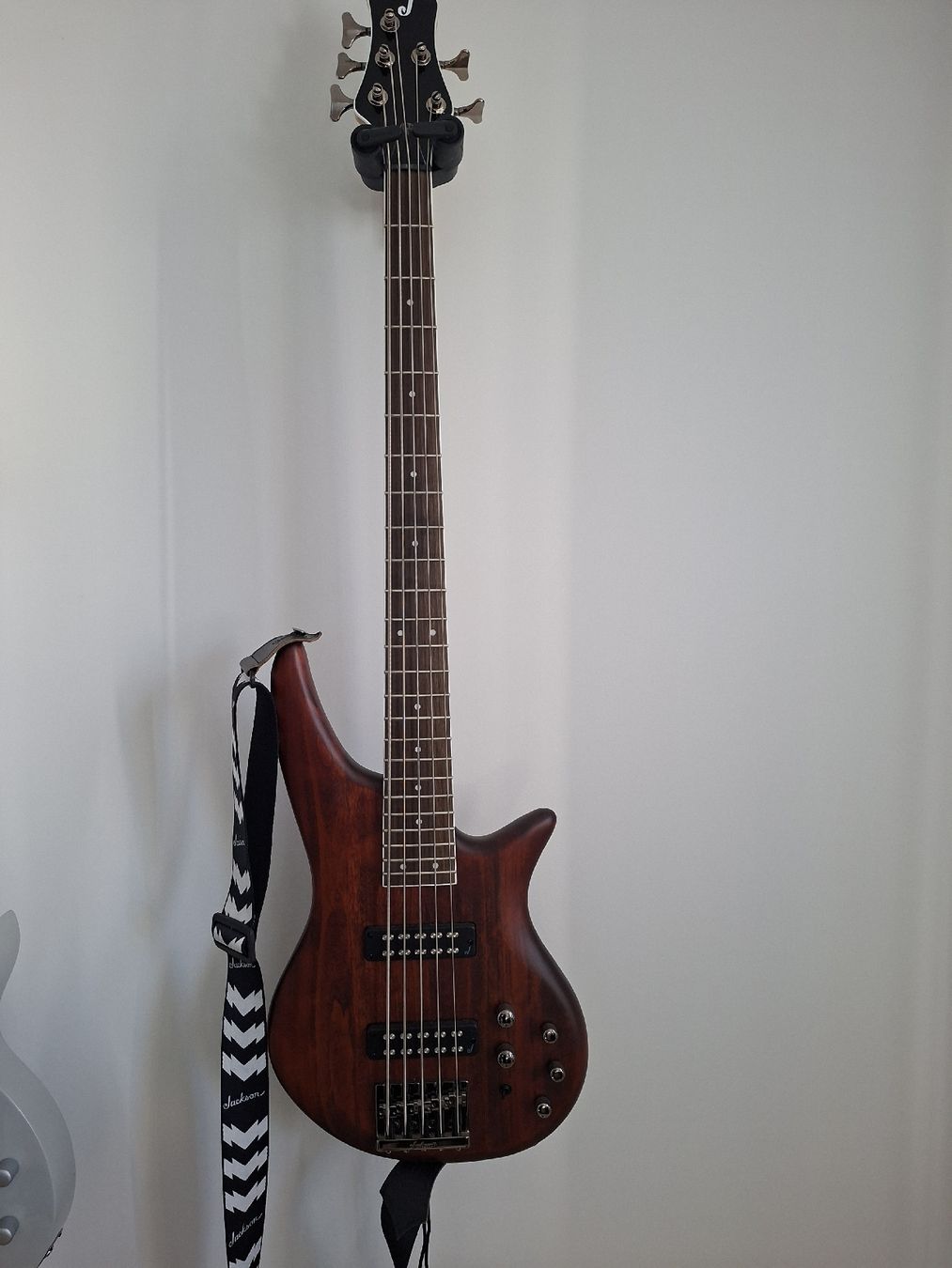 Jackson Musikinstrumente: Guitare basse 5 cordes Jackson – Neu (gemäss Beschreibung) aus La Chaux-de-Fonds von Garfieldge