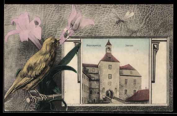 Cartoline postali: Grusskarten-AK Finsterwalde, Schloss im  – Usato da Berlin venduto da bartko-reher