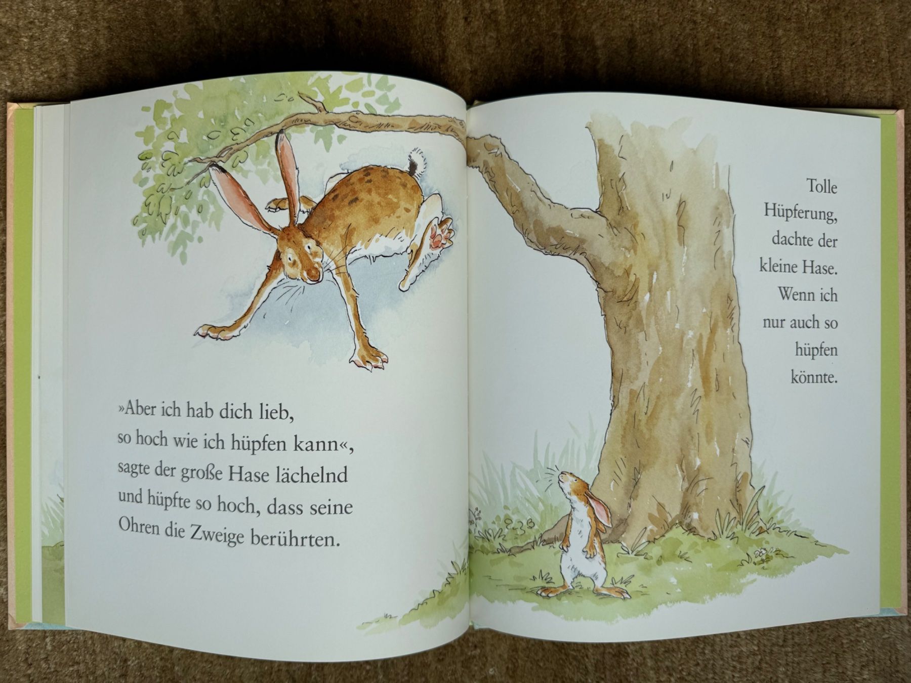 Libri: Weisst du eigentlich, wie lieb ich dich hab?? – Usato da Aarau venduto da Kilauea 6