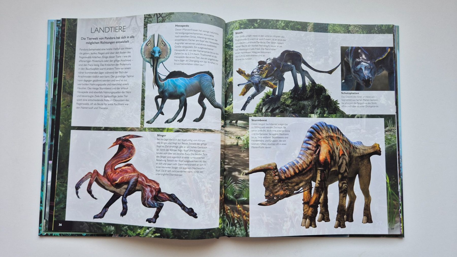 Bücher: Die Welt von AVATAR  💙 – Gebraucht aus Niederweningen von Obson 8