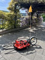Fahrradanhänger Einrad
