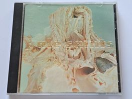 CD Pale Saints – In Ribbons ( Shoegaze )