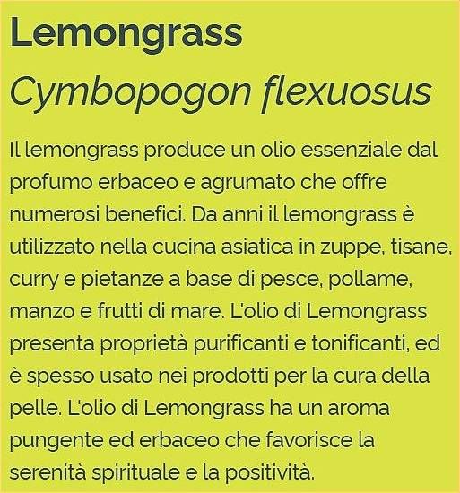 Oli essenziali: Lemongras DoTerra - 15 ml – Usato da Medeglia venduto da kat-ugo 1