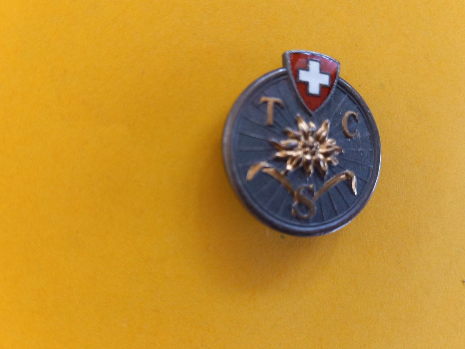 TCS Placchette & Badge: Insigne ancien TCS – Usato da Rossens FR venduto da Souris1 1