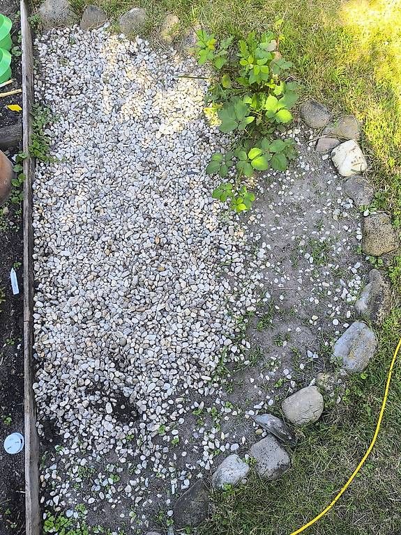 Mattoni da costruzione: Helle Steine zu verschenken – Usato da Thundorf venduto da Riuli