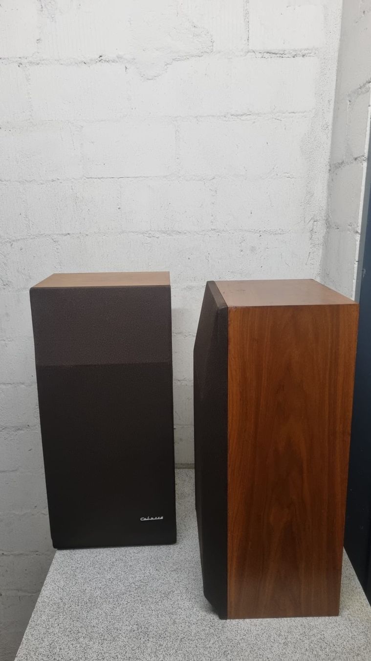 Cabasse Casse acustiche: Cabasse Brick M7 HiFi Lautsprecher Holz – Usato da Oberengstringen venduto da George0070 5