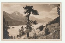 Postkarte Silvaplana & Campfer: Blick zum See, 23.VII.1921