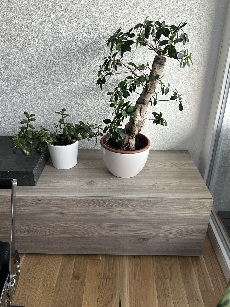 TV Möbel: TV Möbel  – Gebraucht aus Schöftland von dan_6qd5 1