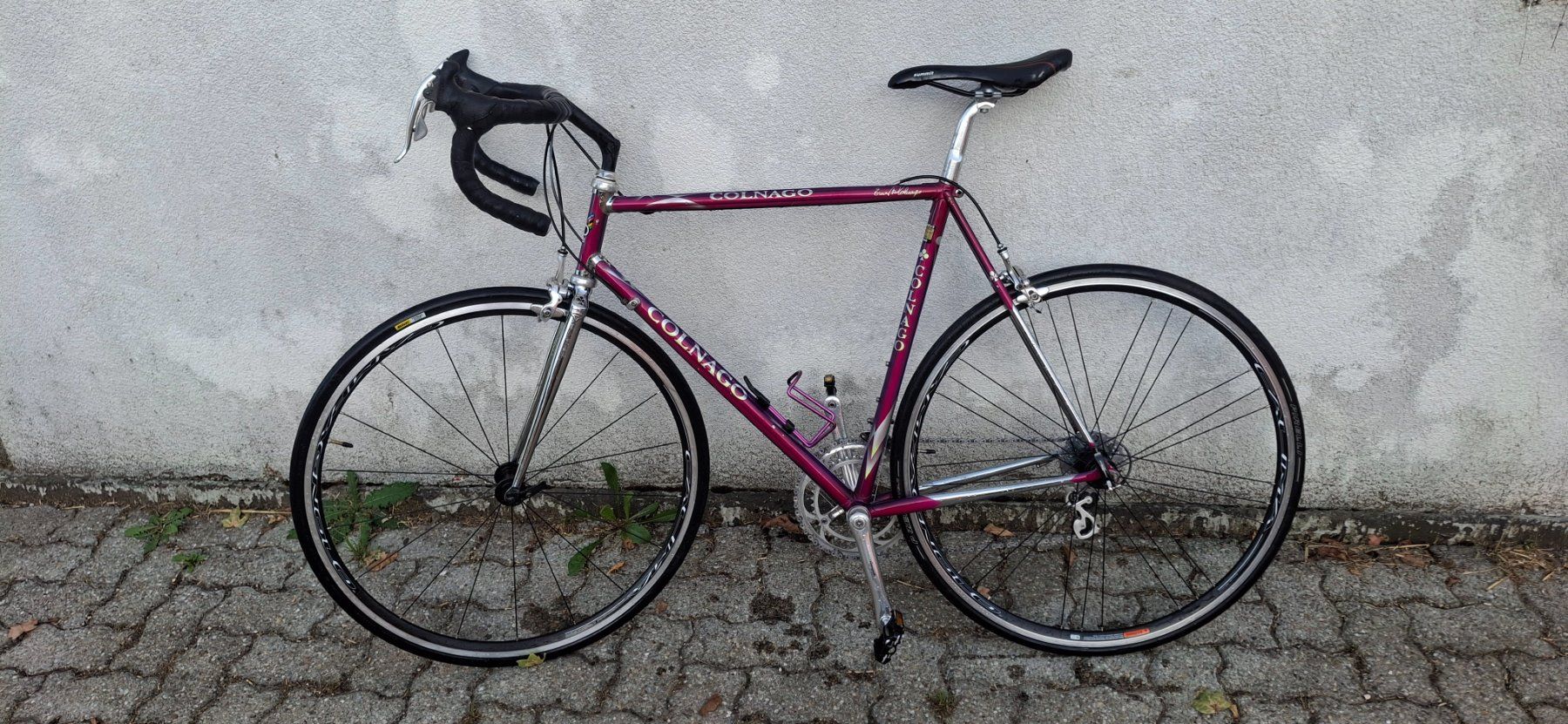 Colnago Vélos: Rennvelo COLNAGO – D'occasion à Kyburg par JBMNT2020 7