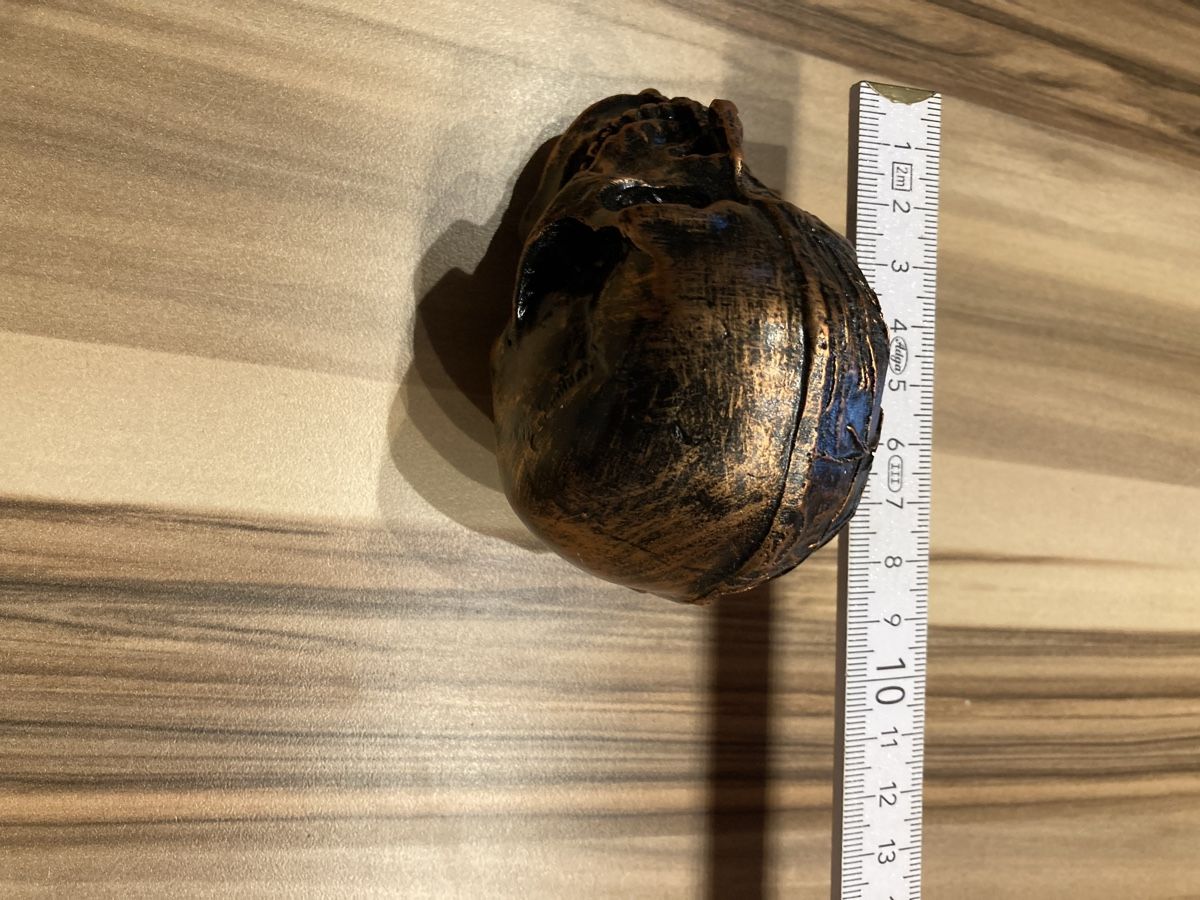 Skulpturen & Statuen: Schädel 2 Gesichter Totenkopf Skull – Neu und originalverpackt aus Aarwangen von to-hirschi 3
