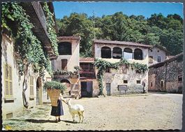 SESSA Il Ticino Pittoresco, Ziege