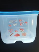Tupper Coolsmart für den Kühlschrank 4,4 ltr