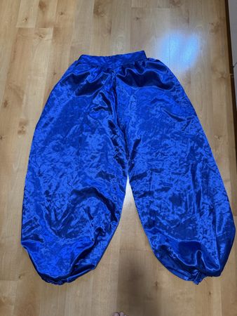 Harem Pants Blue Costume Size XS