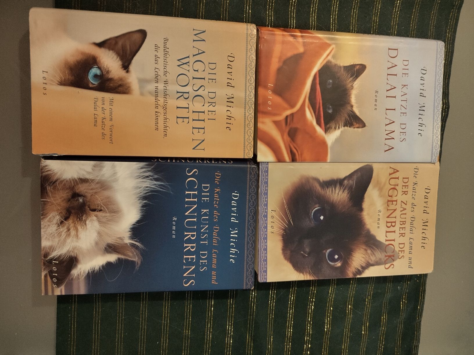 Libri: 4Dalai Lama Bücher von seiner Katze – Nuovo (secondo la descrizione) da Kloten venduto da Kloten76 1