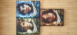 Woodwalkers - Katja Brandis (Band 1-3)