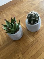 2x Künstliche Kakteen