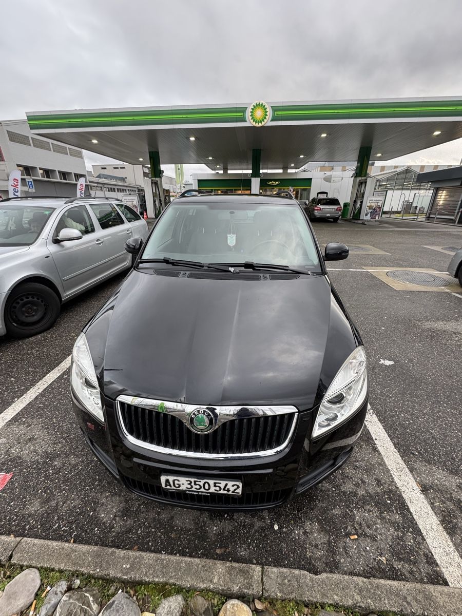Skoda Automobili: Skoda Fabia Combi 1.6 – Usato da Aarau venduto da Drsted 2